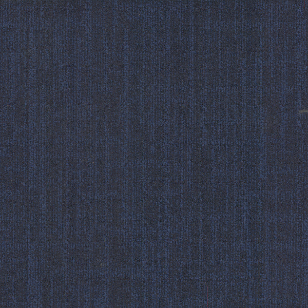 Concision 03