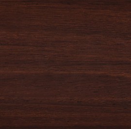 American Walnut 0555