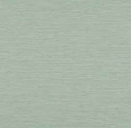 Brushed Silver 5E025