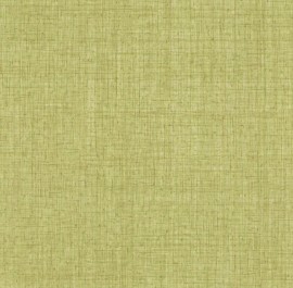 Fiber Fossil 5E028