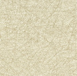 Wisp 5E012