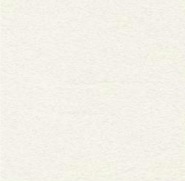 Antique White 0104