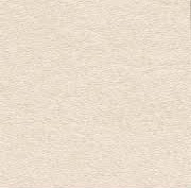 Light Beige 0109