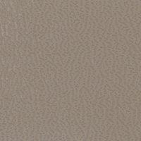 Monsoon 0378