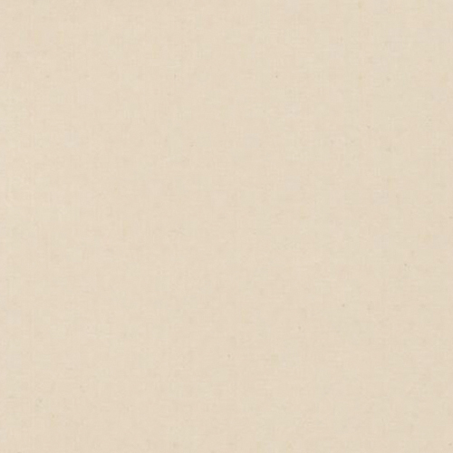 3001 Beige