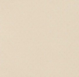 3001 Beige