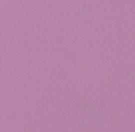 3004 Light Purple