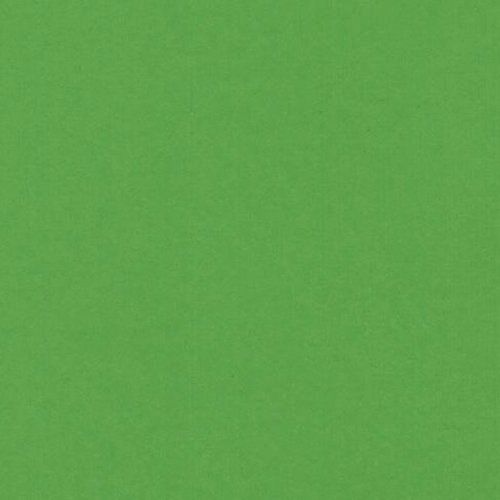 3005 Light Green