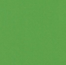 3005 Light Green