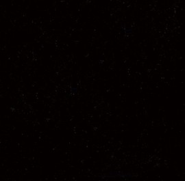 3009 Black