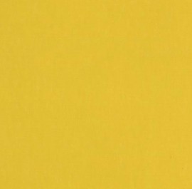 3010 Yellow