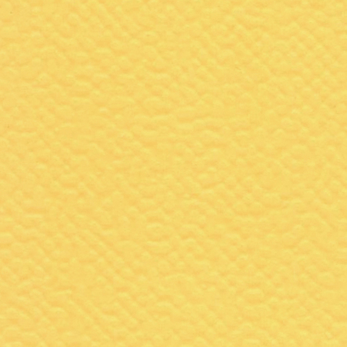 3504 Yellow
