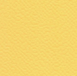 3504 Yellow