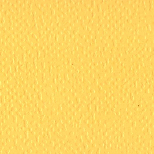 5101