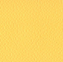 5101