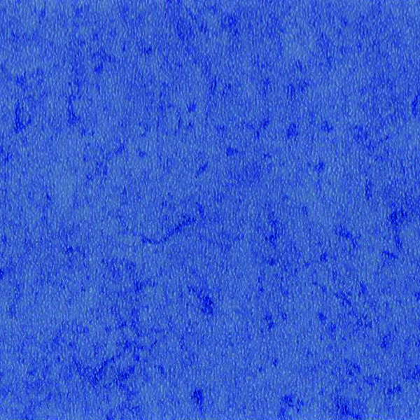 35106 Light Blue