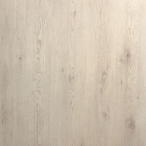 5201