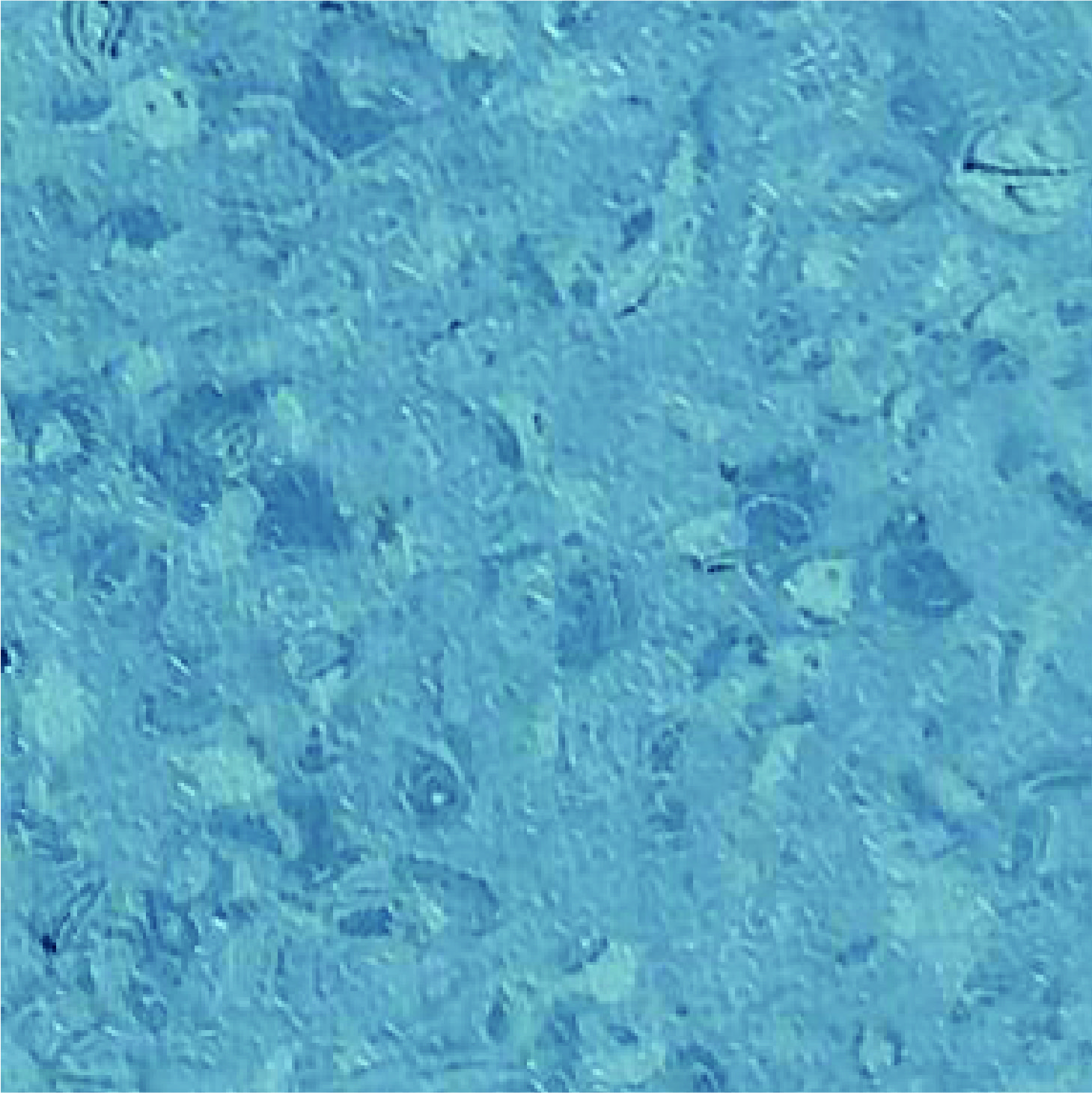 Elite 2012 Ocean Blue