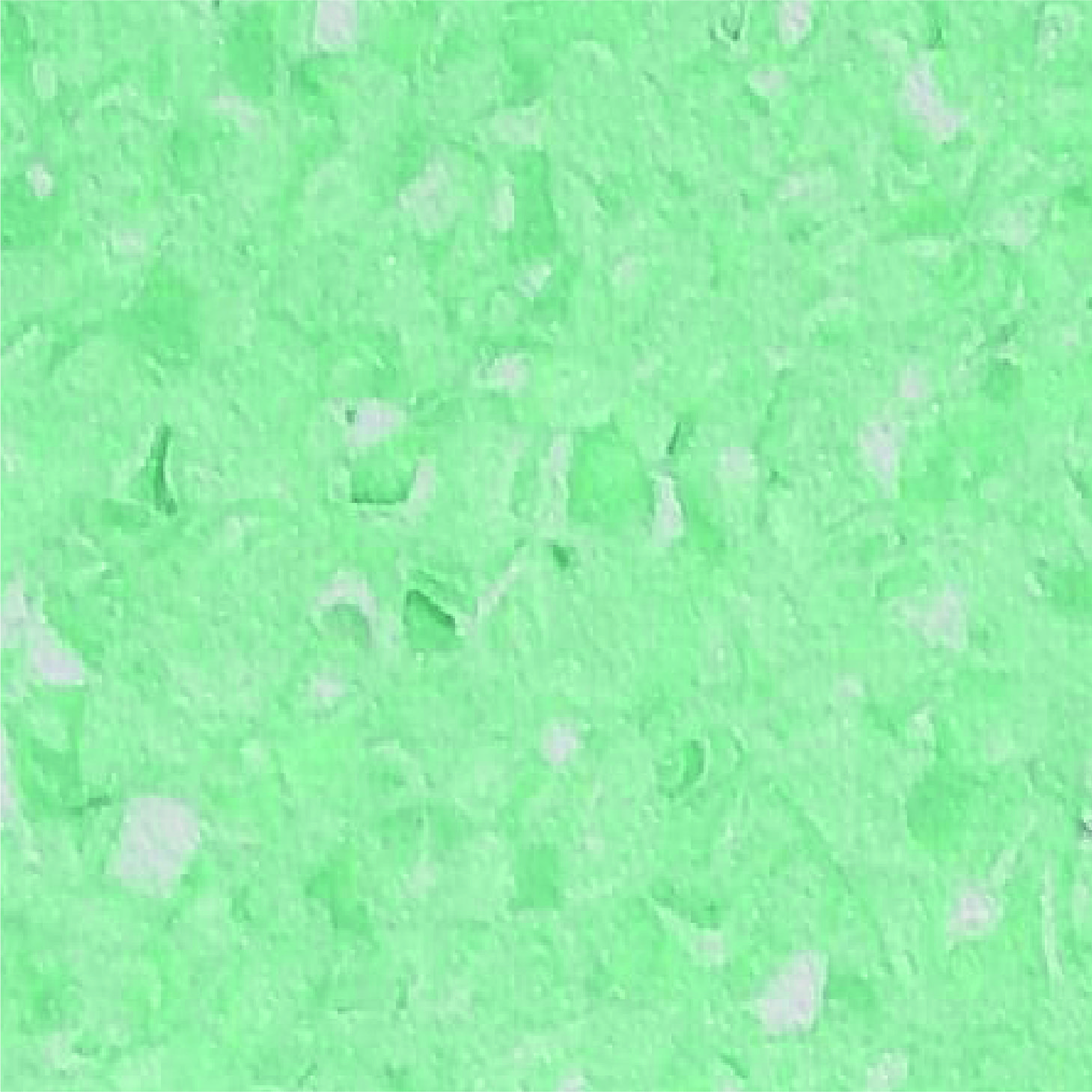 Elite 2013 Asparagus Green