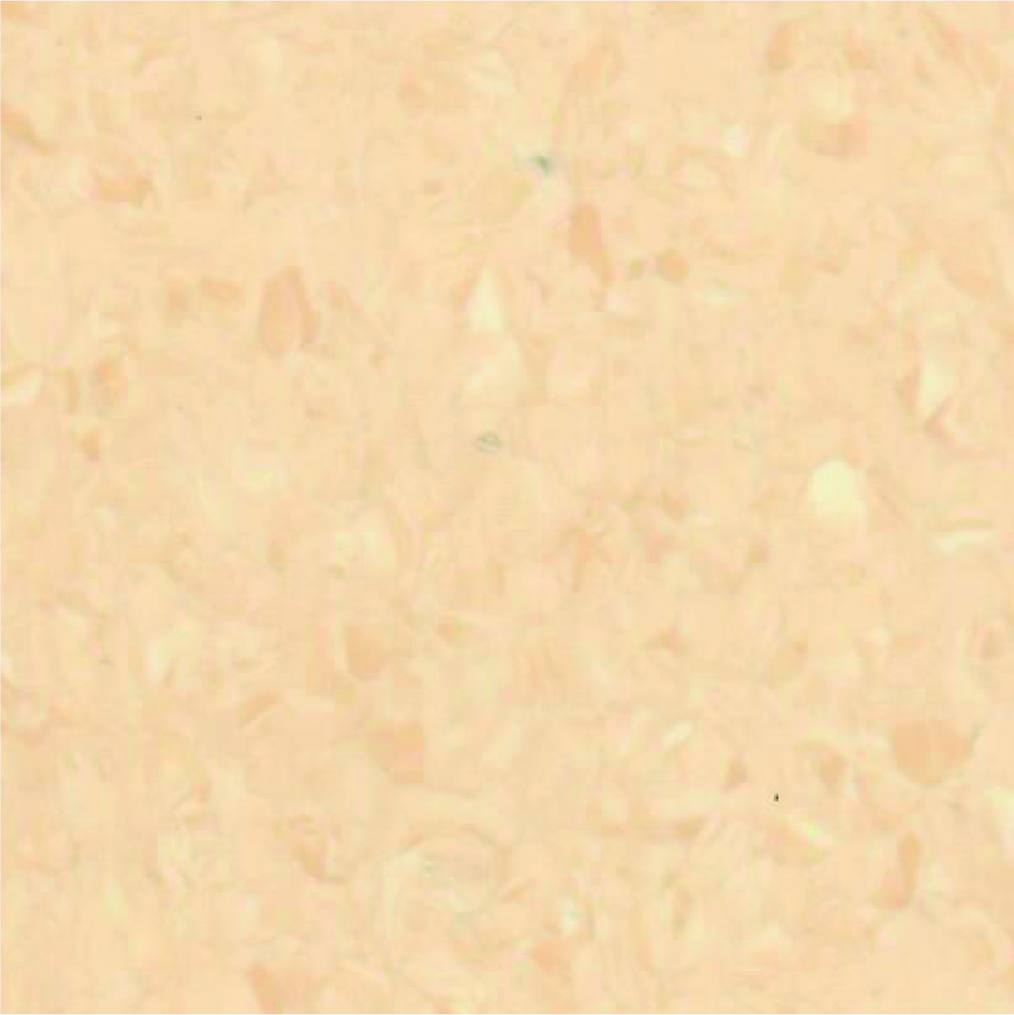 Grace 1002 Beige