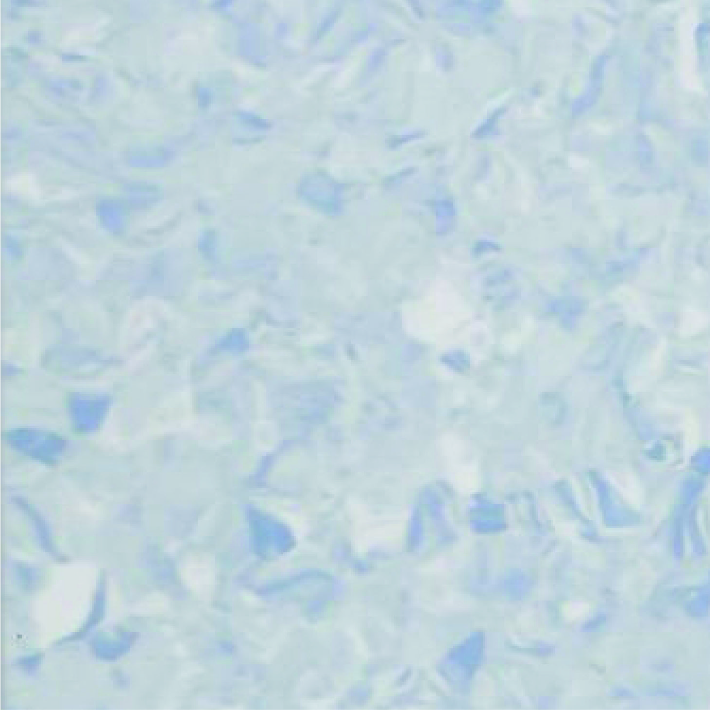 Grace 1010 Light Blue
