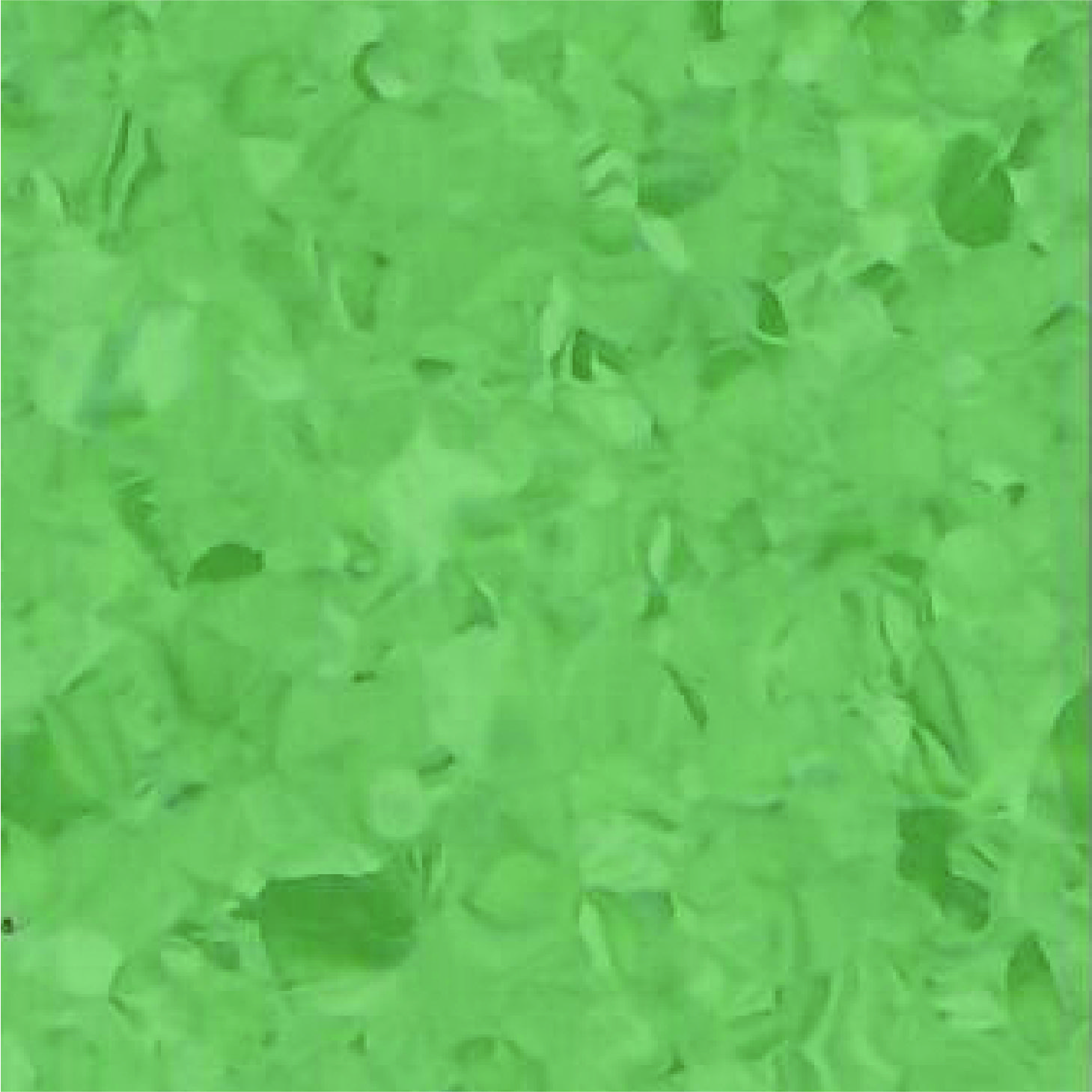 Grace 1018 Olive