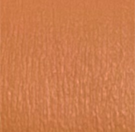 Season 1102 Orange