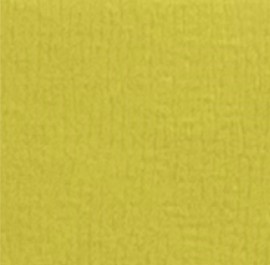Season 1103 Yellow