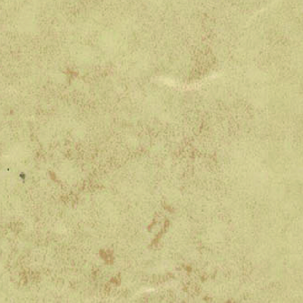 CA 2731