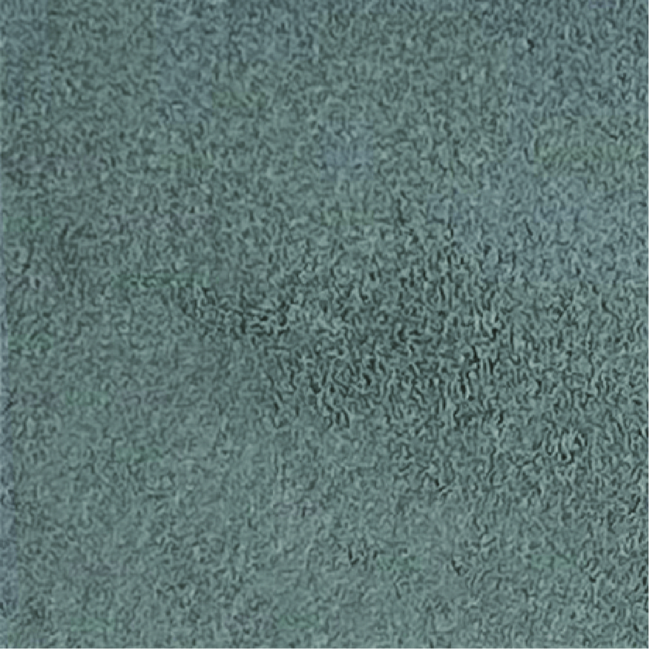 7302 Oyster