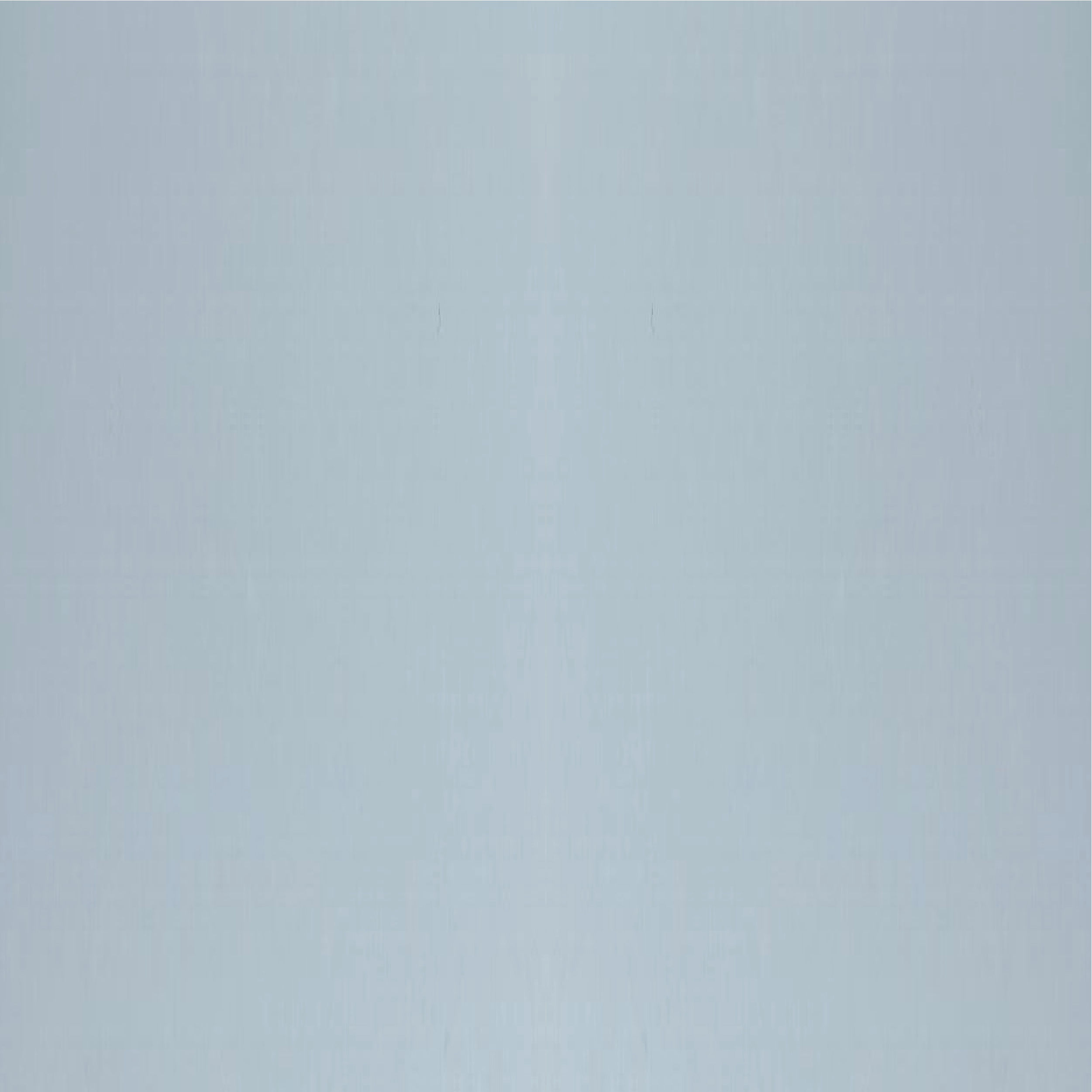 2906