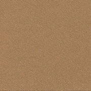 Caramel v9