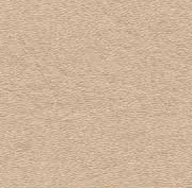 Khaki Brown