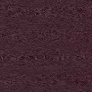 Merlot v6