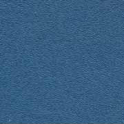 Point Blue v6