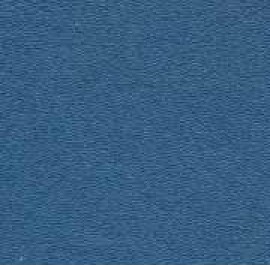 Point Blue