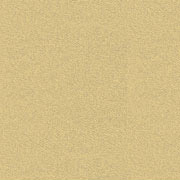 Wheat Field v8