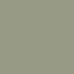 olive v13